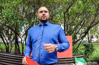 челябинское яблоков праймериз госдума когда