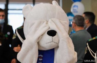 прогноз выборы