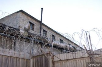 Селюнина арестовали