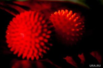 Роспотребнадзор что нужно для снижения заболеваемости COVID