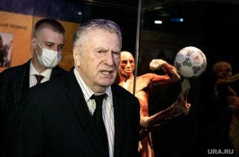 жириновский пиотровский эрмитаж скульптуры жалоба обнаженные