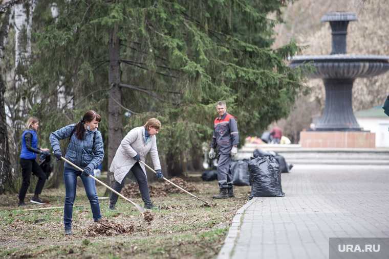 Алексей Орлов на субботнике в денропарке. Екатеринбург