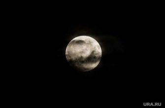 Роскосмос отправит животных к Луне