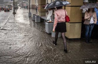 ливни погода