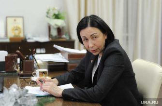 Котова декларация доходы Челябинск