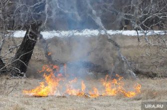 Челябинск погода майские каникулы весна ветер пожары полиция рейды