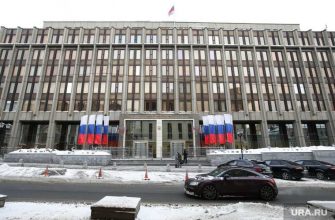 совет федерации коронавирус страховка