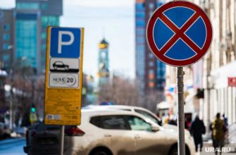 авто сдать права купить правила