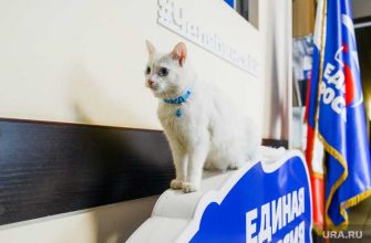 кандидаты госдума челябинская область единая россия