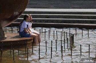 прогноз погоды