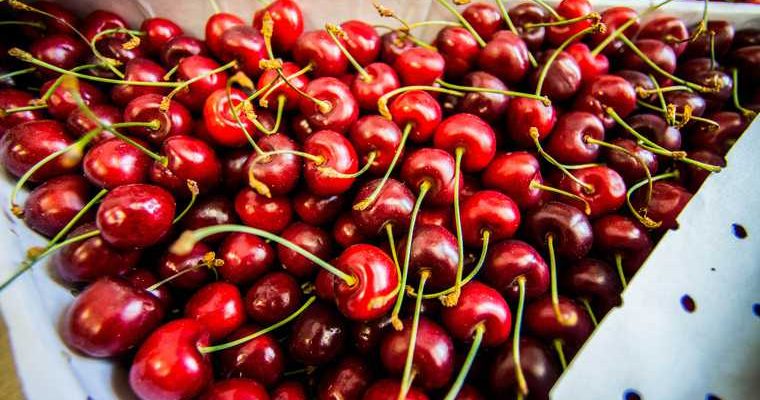 в Тюмень везут отравленные ягоды из Киргизии
