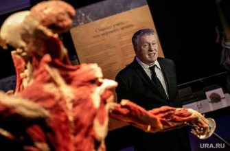 кпрф справедливороссы единая россия едро