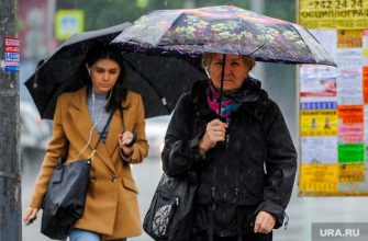 Челябинск погода выходные прогноз 10 11 12 июня