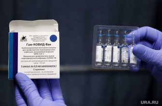 Вакцины от ковида прививки от коронавируса Спутник V въезд в другие страны Украина пограничная служба требования к иностранным гражданам центр гамалеи