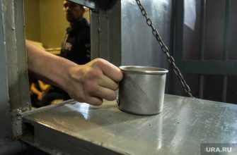 колония в Покрове