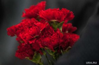 пермский экс-депутат Семен Леви скончался