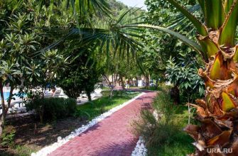 Андрей Игнатьев