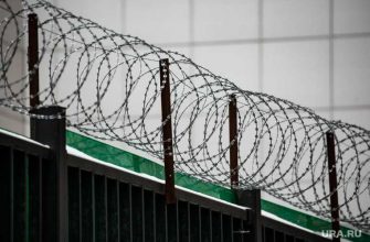 Где будет сидеть Рамиль Шамсутдинов