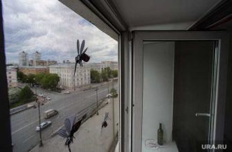 вирус денге