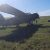 В Челябинской области самолет экстренно сел в поле. Фото