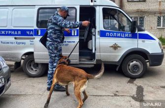 лжеминирование детских садов Курган