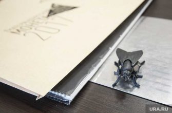 Мухи Челябинская область