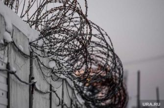 ФСИН пермский край колония 10 взятки