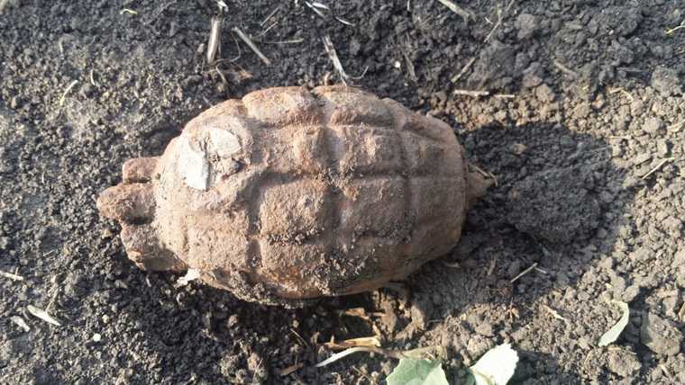 Тюменцы во время отдыха нашли боевую гранату. Фото