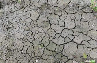 Вадим Шумков