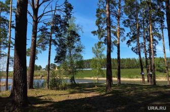 Тобольский район