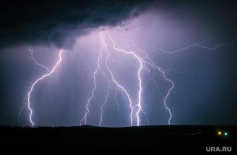 Роман Вильфанд