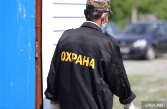 партия Родина