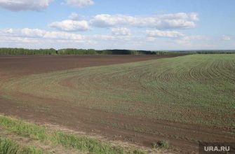 Челябинская область