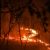 Из-за лесного пожара под Первоуральском эвакуируют людей